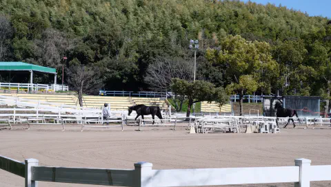 服部緑地乗馬センター