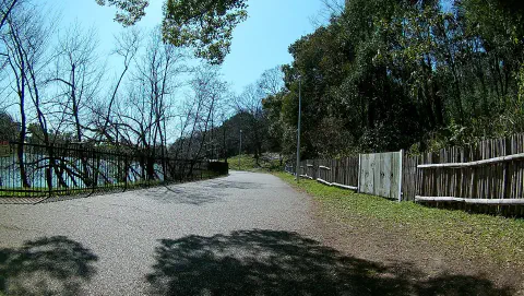 服部緑地公園内の道
