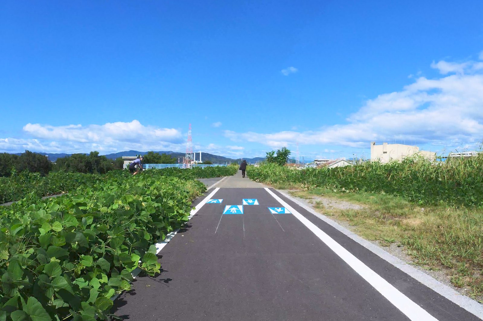 淀川沿いの自転車道　天野川を渡ったあと