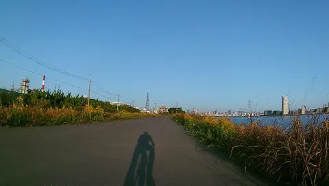 淀川右岸を戻る