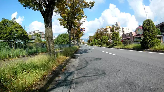 府道119号千里けやき通り