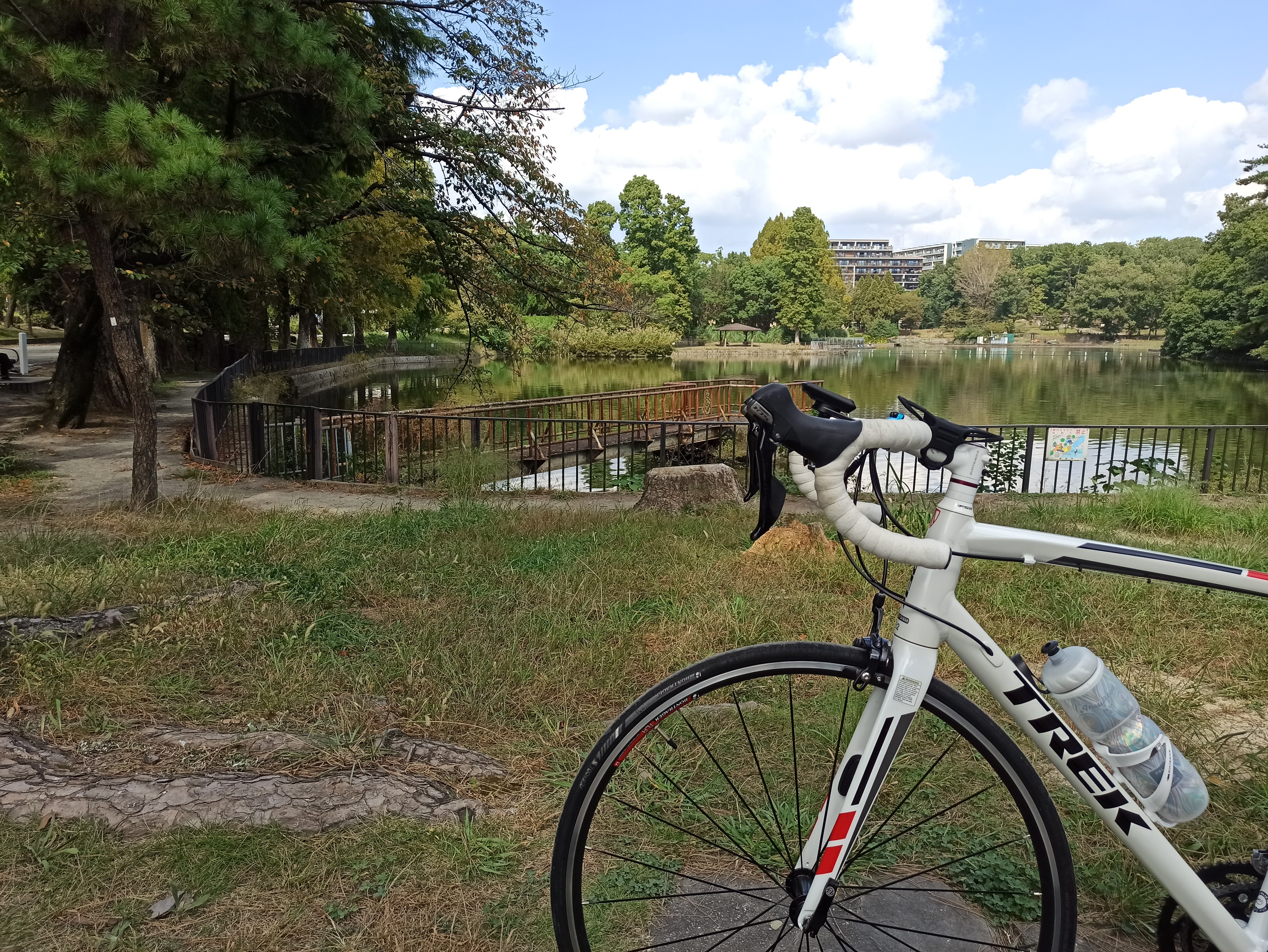 千里南公園でゴール