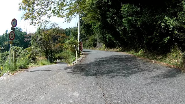 分岐