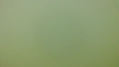 砂が舞って視界ゼロの海中