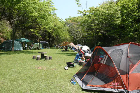 フリーテントサイト