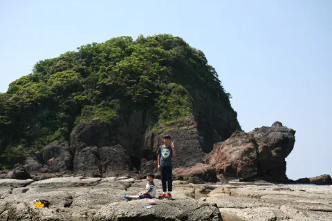 カエル島