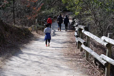 ハイキングコースを歩く