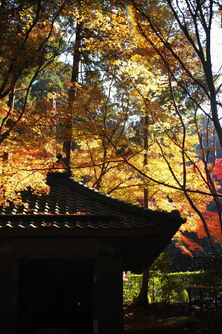 西谷堂と紅葉