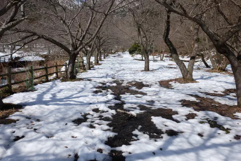 セラピーロード