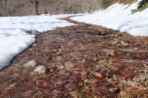 溶けた雪が川のように道を流れる