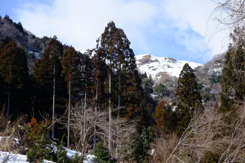 赤坂山