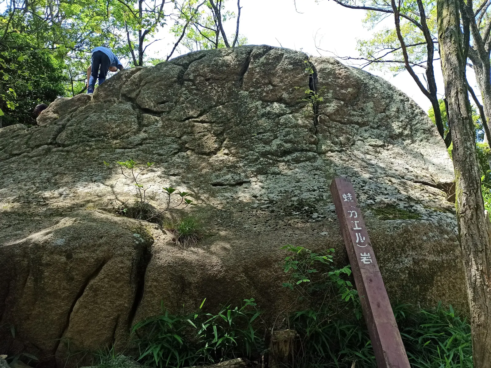 カエル岩