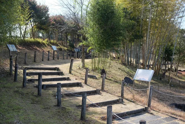 小さな竹林
