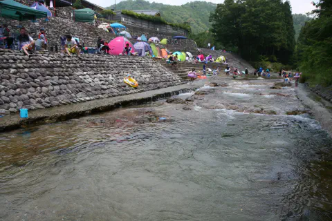 整備された川岸